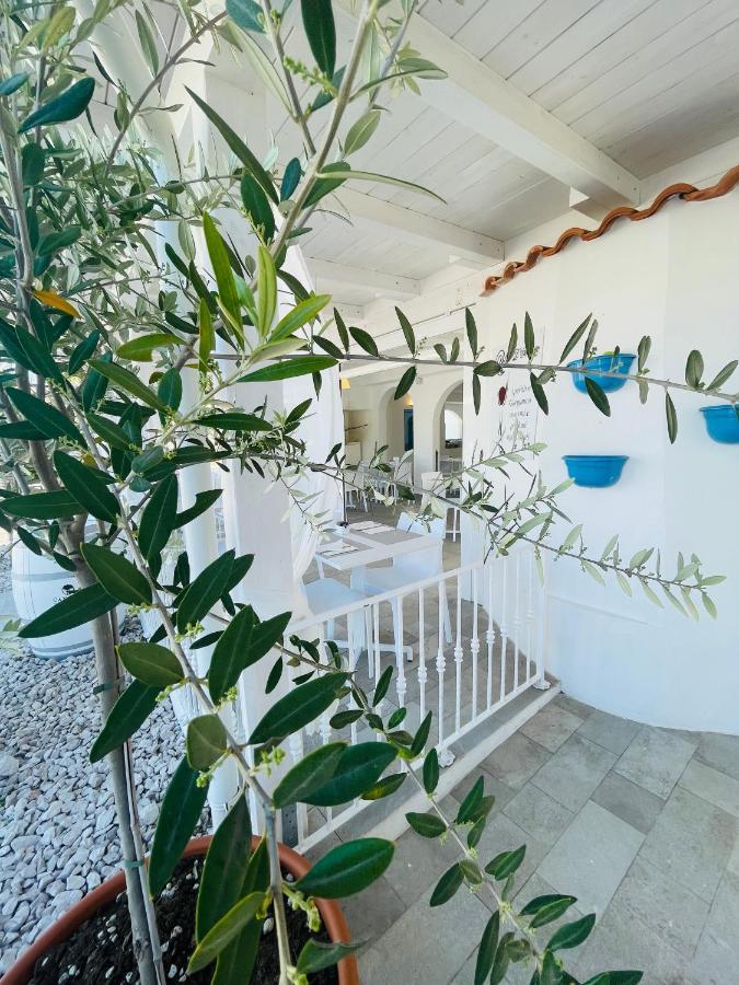 Bed & Breakfast D'amato Peschici
